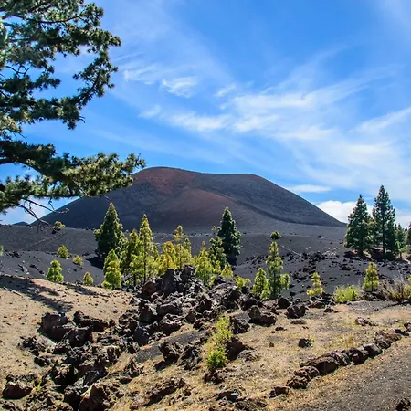 Casa Carla 圣克鲁斯-德特内里费