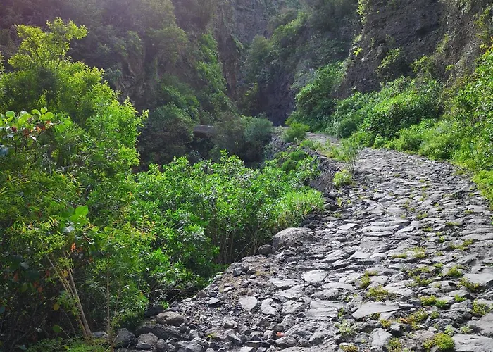 Casa Carla 아파트 산타크루스데 테네리페